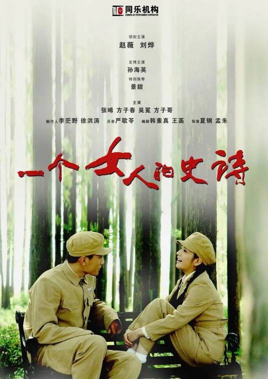 一个女人的史诗（2009年刘烨主演电视剧）