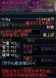 精灵勇士的勋章 - 圣骑士