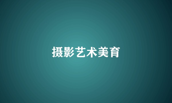 摄影艺术美育