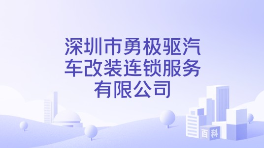 深圳市勇极驱汽车改装连锁服务有限公司