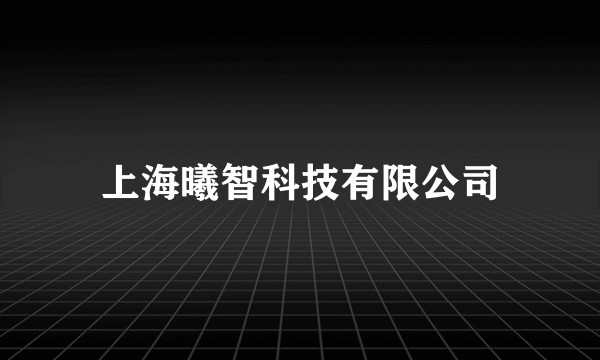 上海曦智科技有限公司