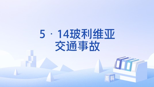 5·14玻利维亚交通事故