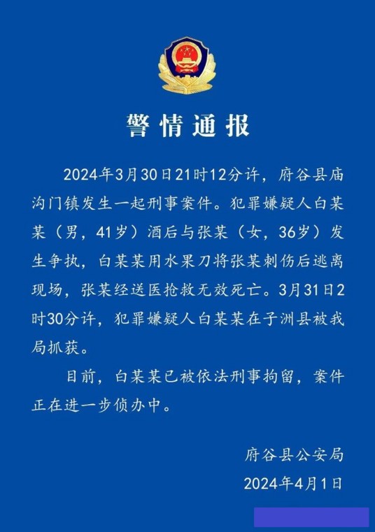 3·30府谷男子持刀伤人事件