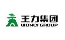 中国王力集团