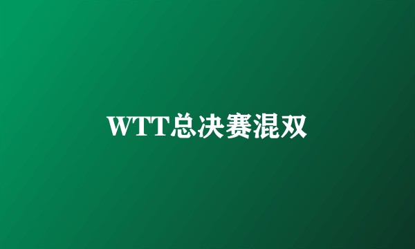 WTT总决赛混双
