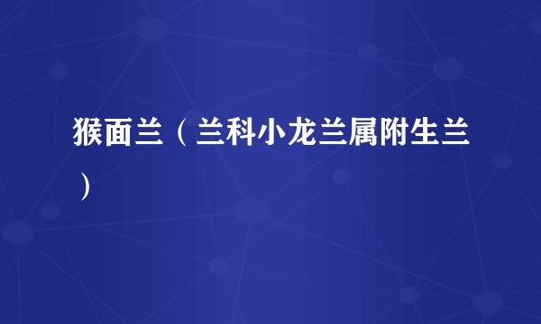 猴面兰（兰科小龙兰属附生兰）