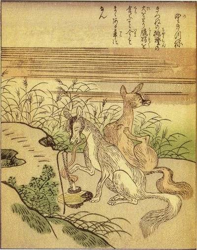 野狐（日本妖怪之一）
