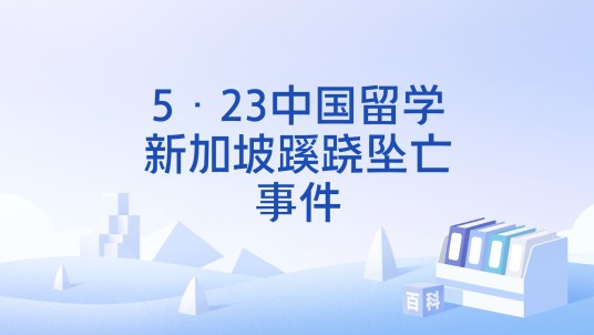 5·23中国留学新加坡蹊跷坠亡事件