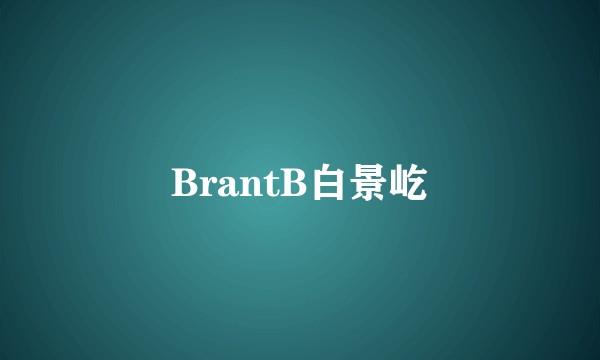 BrantB白景屹