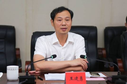 王建勇(湖南省株洲市人大常委会原党组成员、副主任)