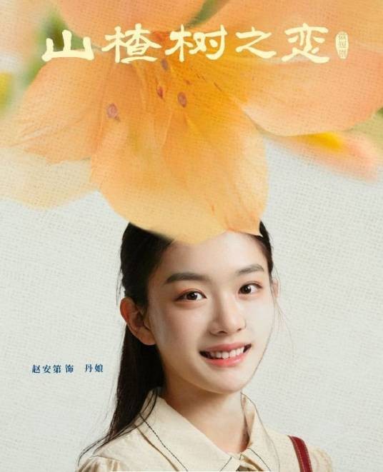 丹娘（电视剧《山楂树之恋》中的角色）