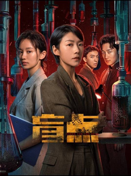 盲点（2025年赵凯执导的刑侦悬疑剧）