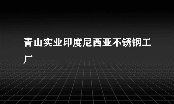 青山实业印度尼西亚不锈钢工厂