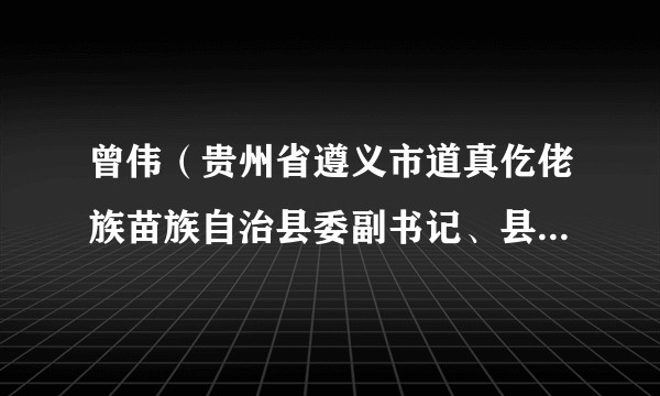 曾伟（贵州省遵义市道真仡佬族苗族自治县委副书记、县人民政府县长）