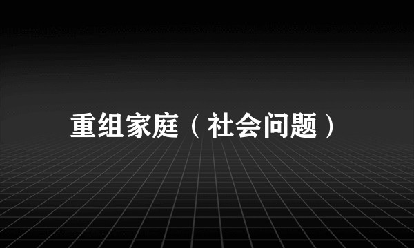 重组家庭（社会问题）