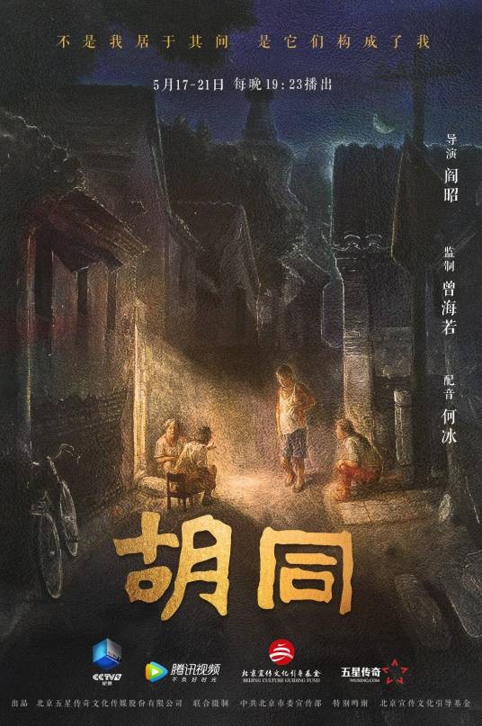 胡同（2021年阎昭执导的纪录片）