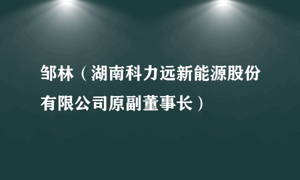 邹林(湖南科力远新能源股份有限公司原副董事长)