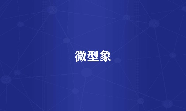 微型象