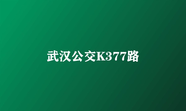 武汉公交K377路
