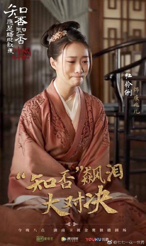 康兆儿（小说《知否？知否？应是绿肥红瘦》中的角色）