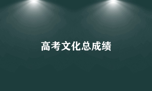 高考文化总成绩