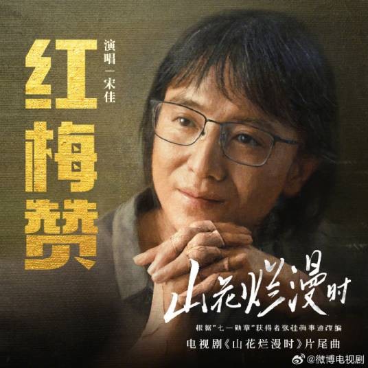 红梅赞（宋佳演唱的电视剧片尾曲）