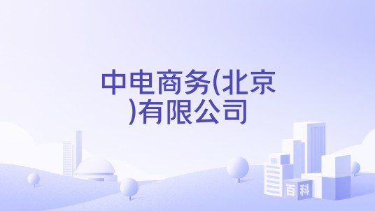 中电商务(北京)有限公司