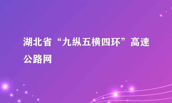湖北省“九纵五横四环”高速公路网