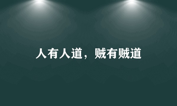 人有人道，贼有贼道