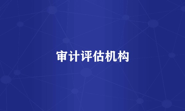 审计评估机构