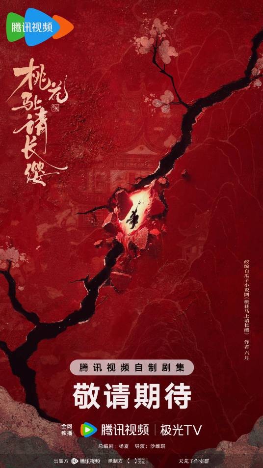 桃花马上请长缨（沙维琪执导的电视剧）