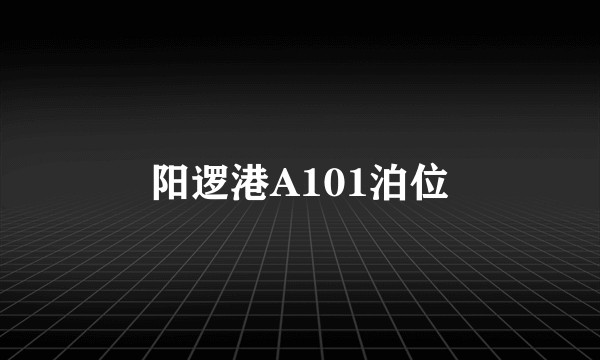 阳逻港A101泊位