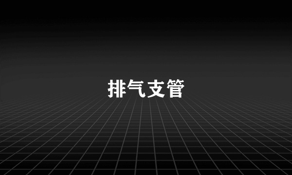 排气支管