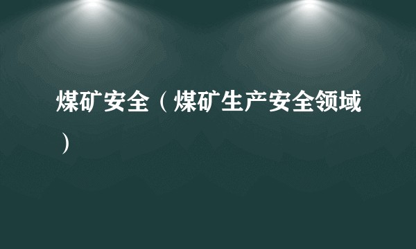煤矿安全（煤矿生产安全领域）