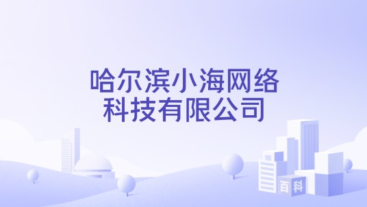 哈尔滨小海网络科技有限公司