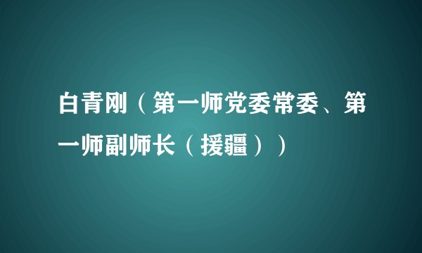 白青刚（第一师党委常委、第一师副师长（援疆））