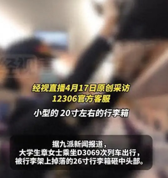 4·19女子乘高铁被行李箱砸伤事件