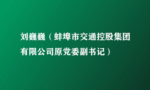 刘巍巍（蚌埠市交通控股集团有限公司原党委副书记）