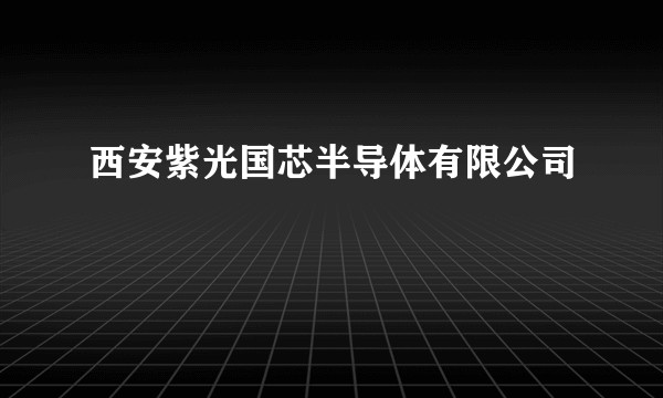 西安紫光国芯半导体有限公司