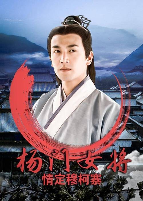 杨门女将之情定穆柯寨（2001年上映的中国大陆古装武侠剧情片）
