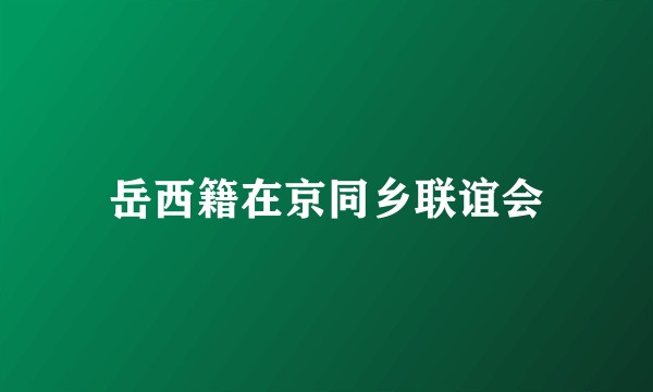 岳西籍在京同乡联谊会