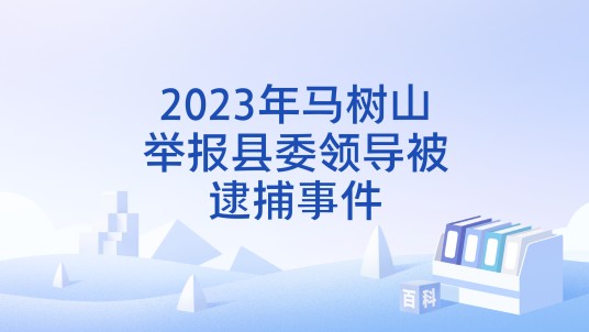 2023年马树山举报县委领导被逮捕事件