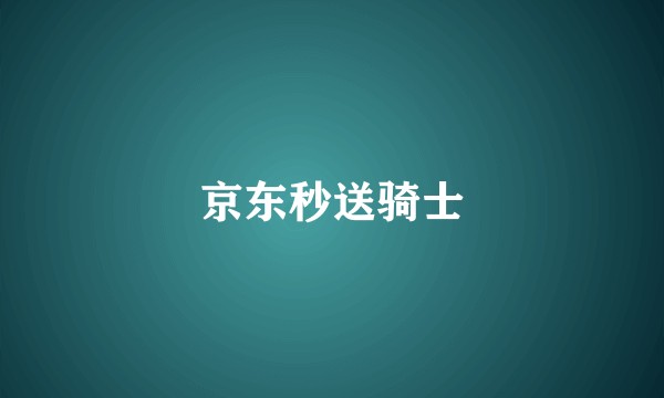 京东秒送骑士