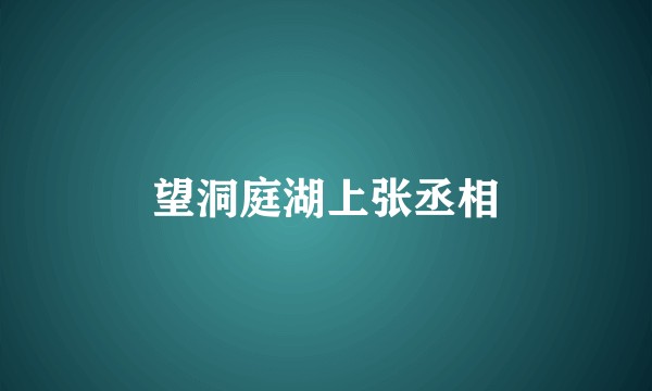 望洞庭湖上张丞相