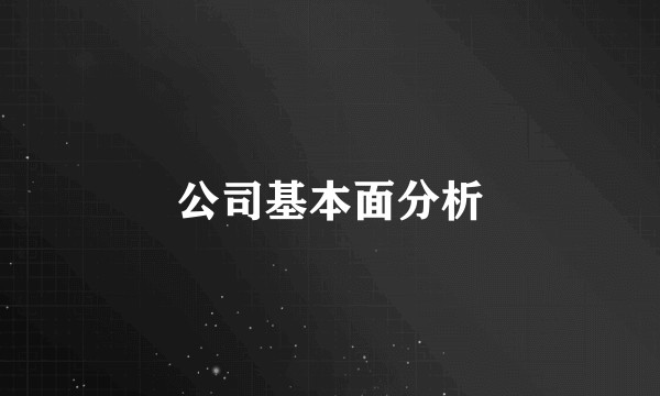 公司基本面分析
