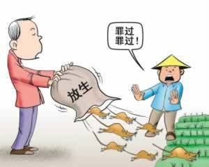 深挖鼠仓