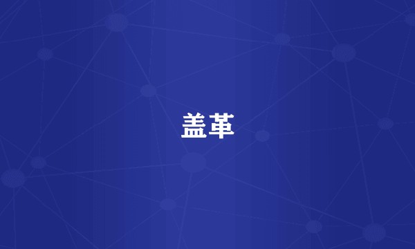 盖革
