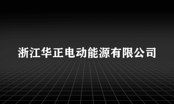 浙江华正电动能源有限公司