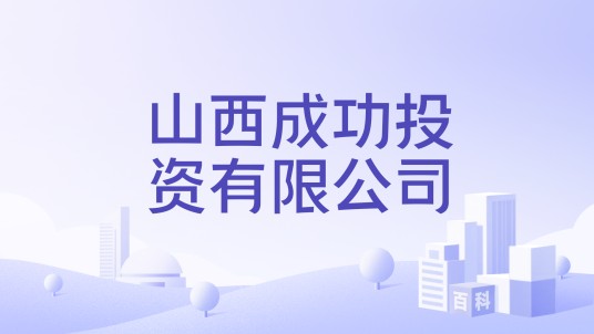 山西成功投资有限公司
