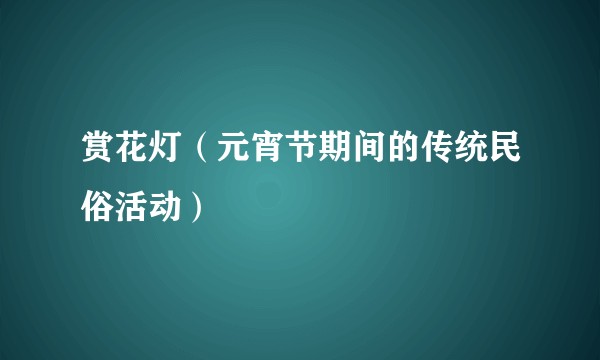 赏花灯（元宵节期间的传统民俗活动）